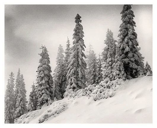 Blanket of Snow