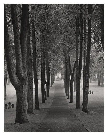 Cemetery