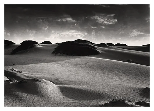 Dunes after Rain