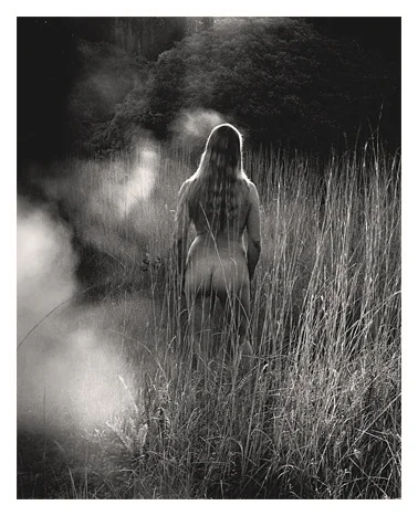 Golden Grass