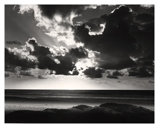 Guadalupe Dunes