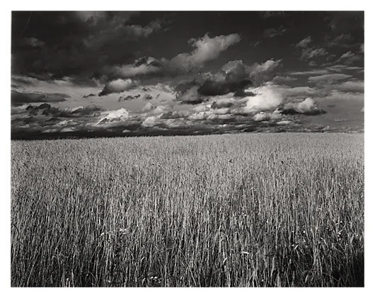 Rye and Night Storm