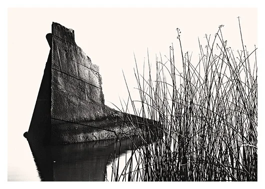 Tule and Boat