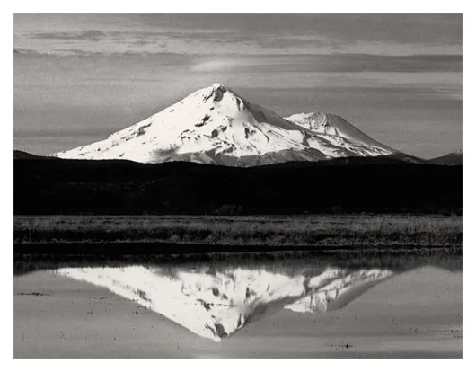 Tules and Mt. Shasta