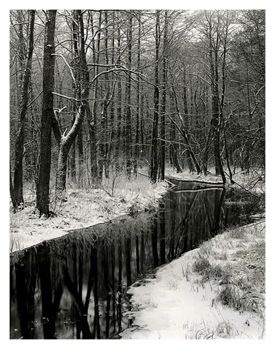 Black River