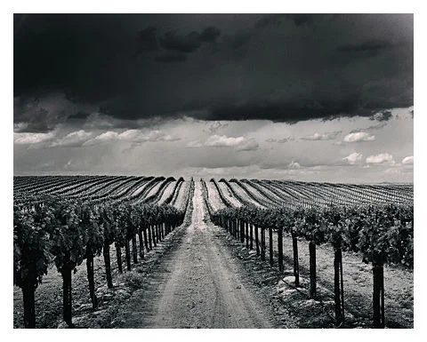 Grapes of Wrath