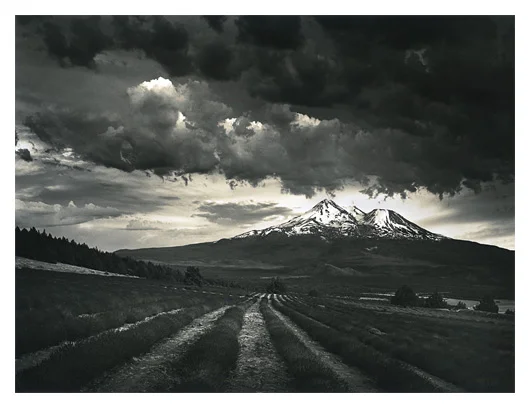 Night Storm, Lavender Farm