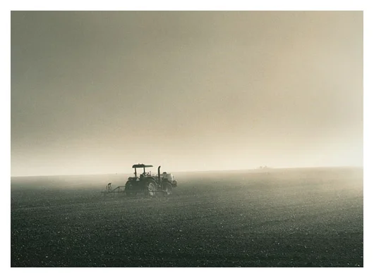 Salinas Valley