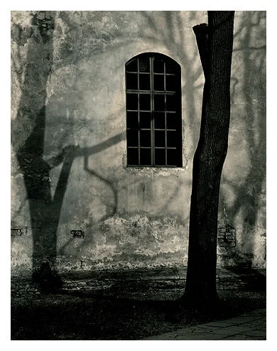 Shadow Play