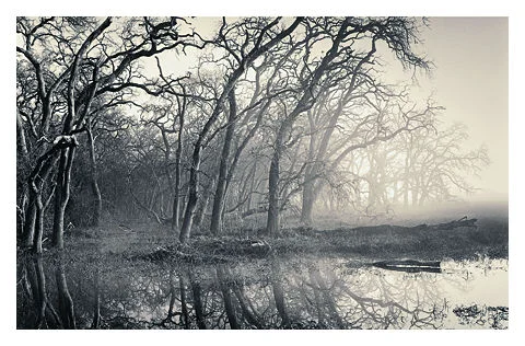 Slough in Winter