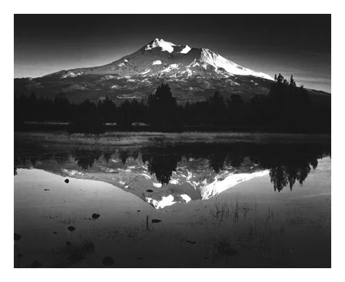 Pause and Reflect