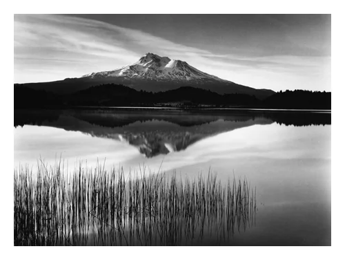 Tule and Mount Shasta (only available with new book)
