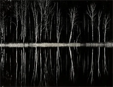 black_forest_lg.jpg