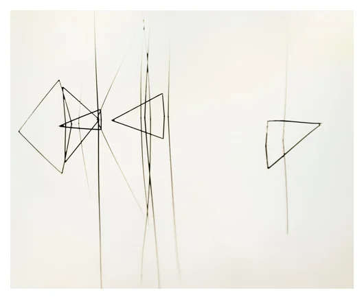 Tule Geometry