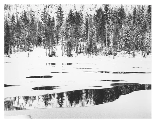 Peaceful Winter