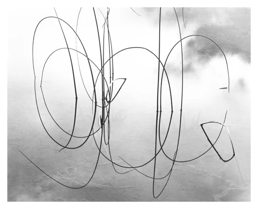 Tule Signature