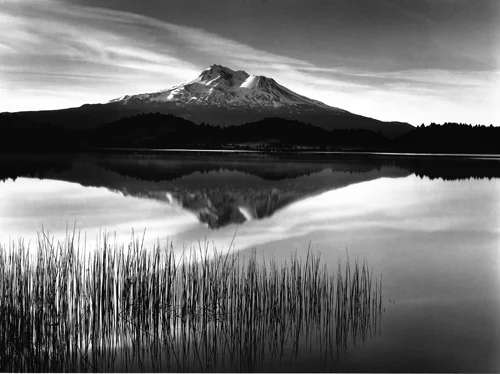 Tule and Mount Shasta.jpg