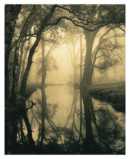 Backwater