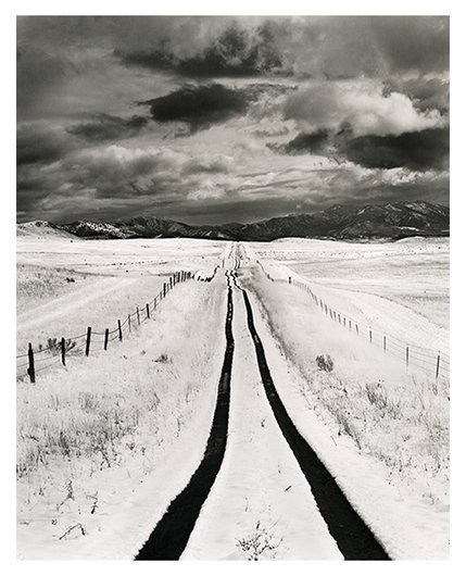 Homeward Bound