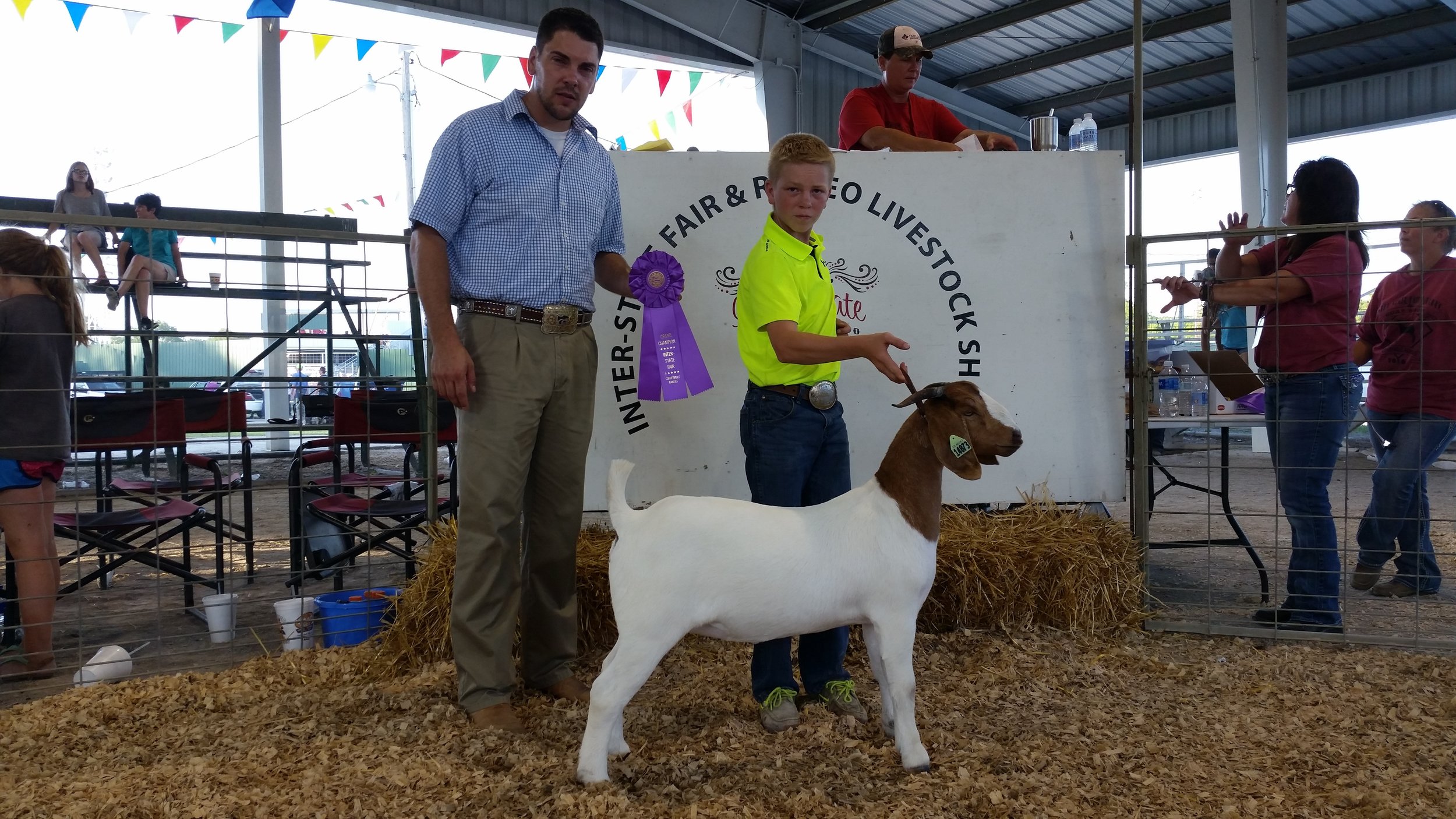 2016 Grand Champion Breeding Doe Coffeyville Interstate Fair (Fowler 2009 x Helms 3486 Doe)