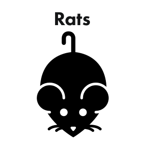 Rats.png