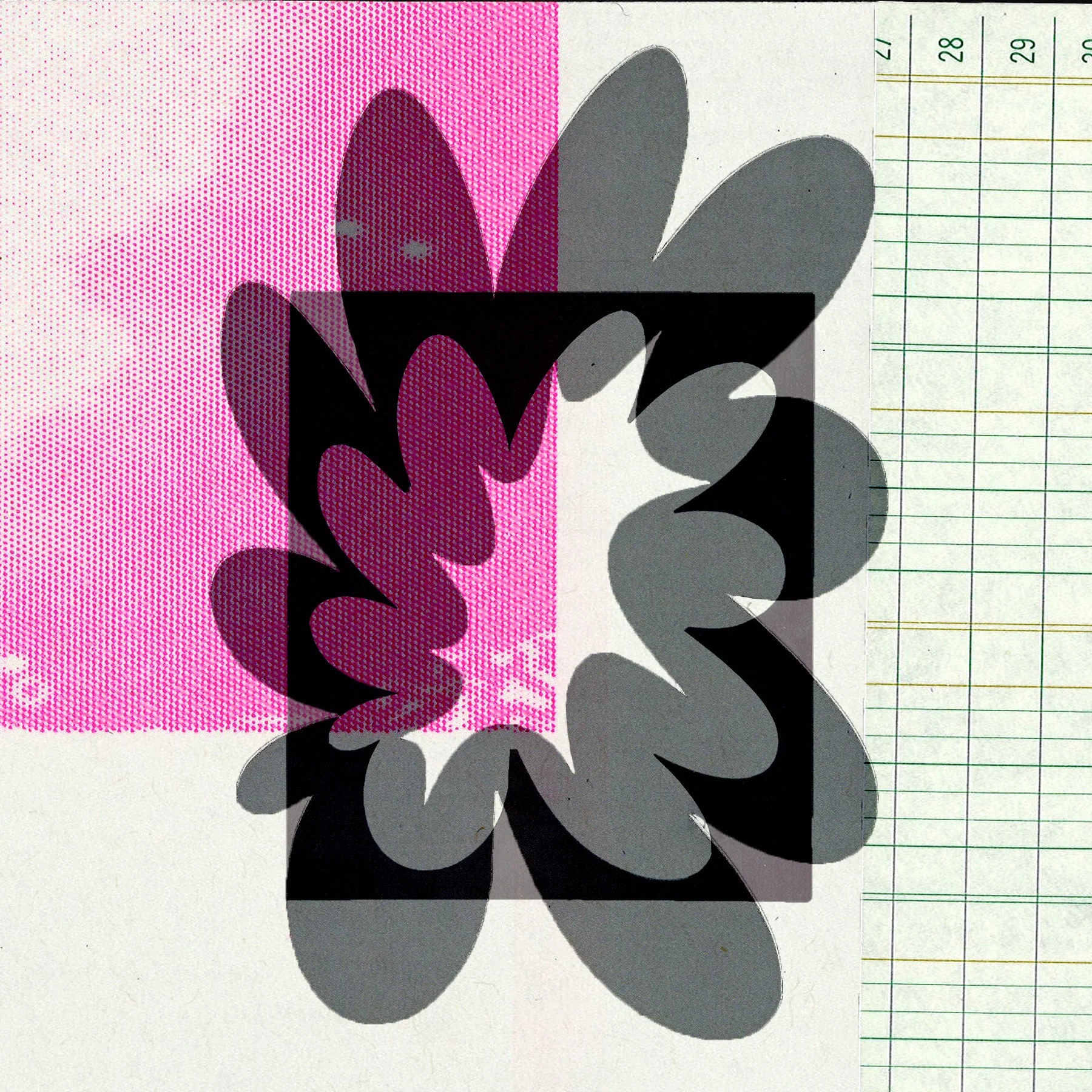 flower2.jpg