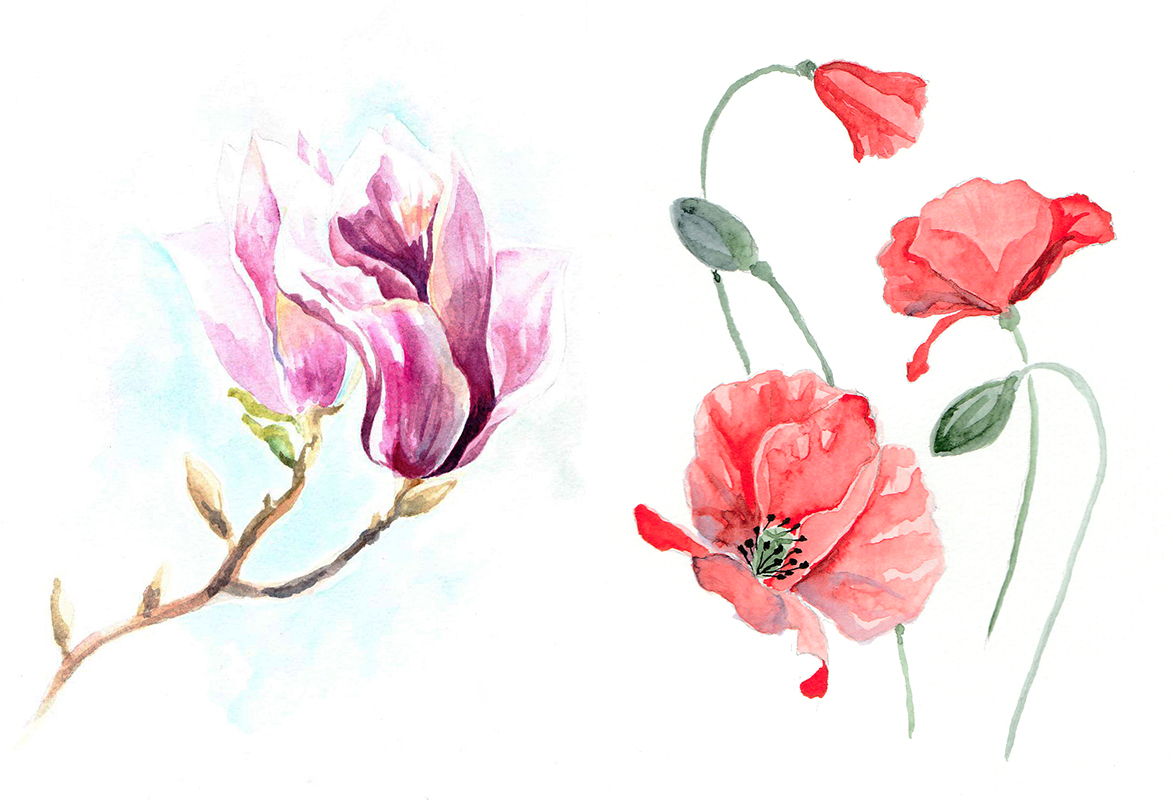 Thumbnail2.jpg