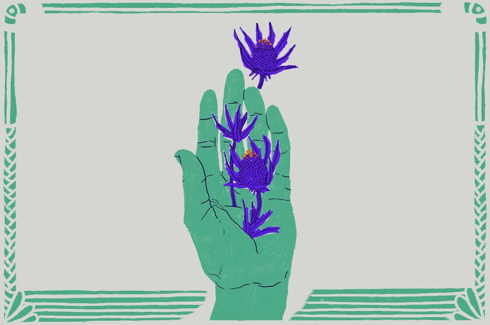 Illustrazione Cecilia Campironi