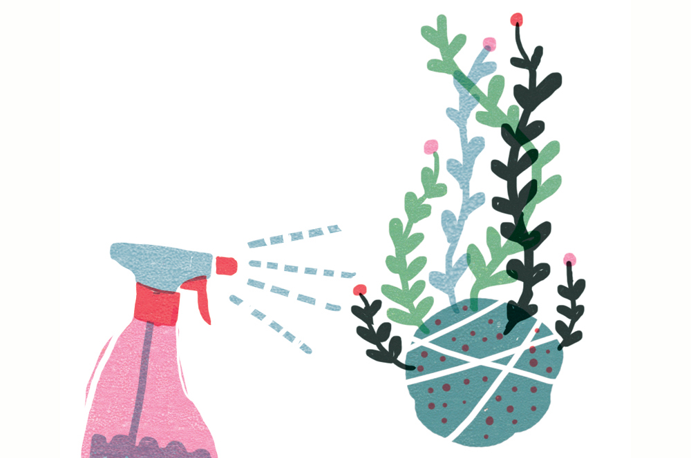 Illustrazione Irene Rinaldi