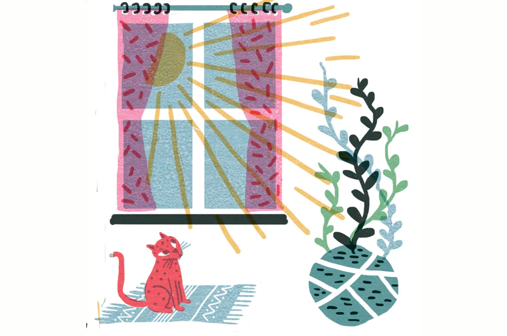 Illustrazione Irene Rinaldi