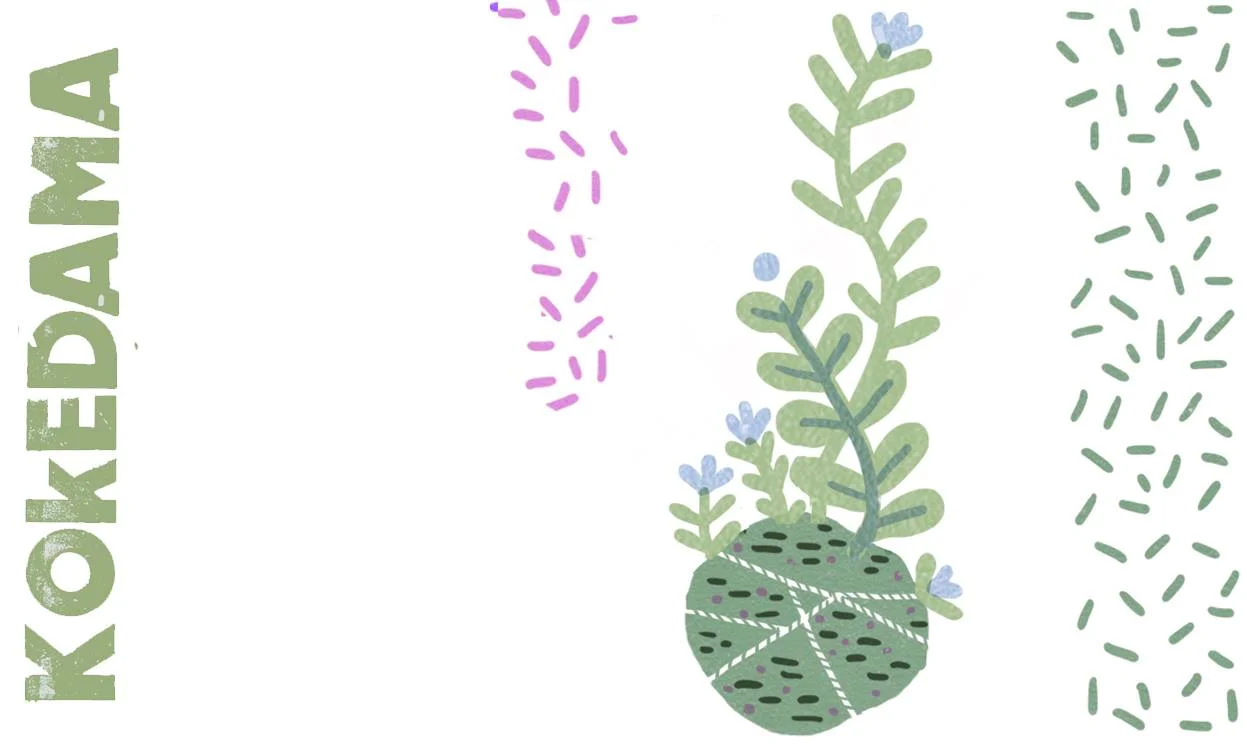 Illustrazione Irene Rinaldi
