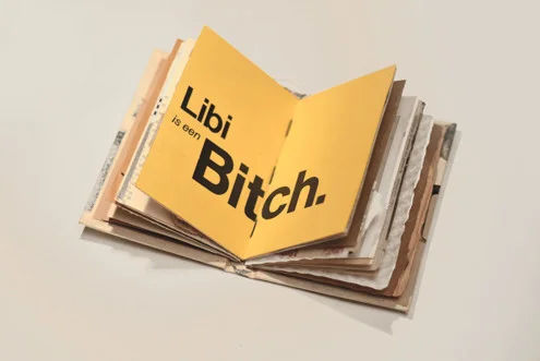 immagine Libri Finti Clandestini