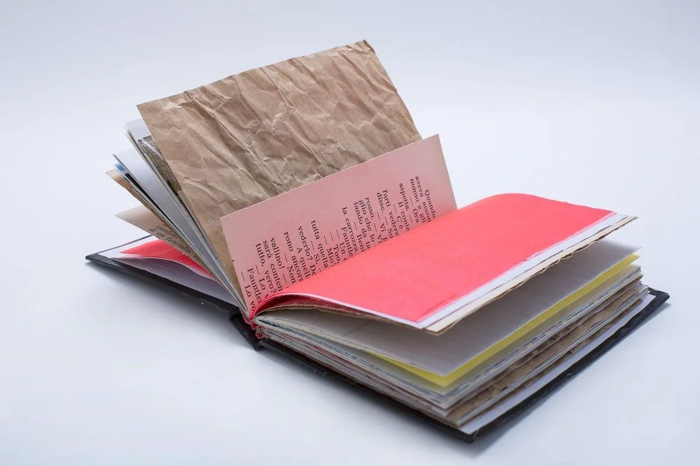 immagine Libri Finti Clandestini