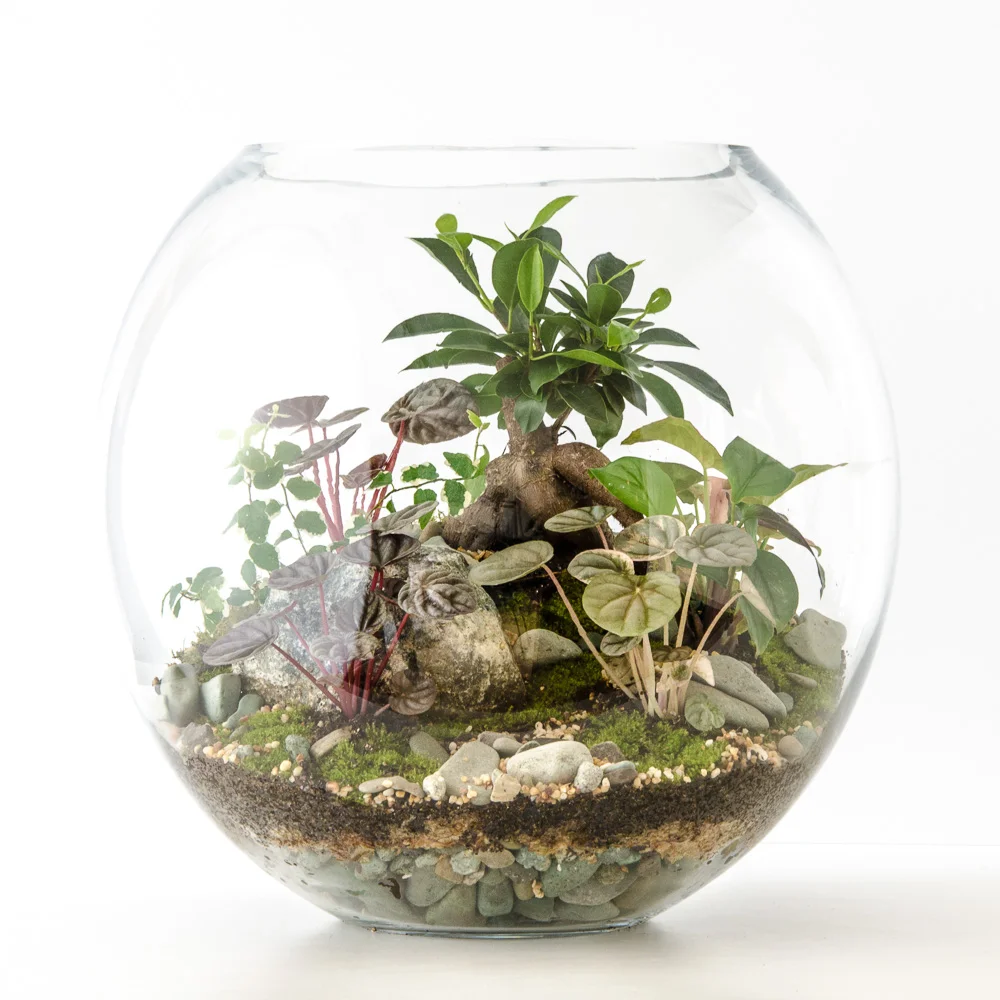 Foto Shop Terrain
