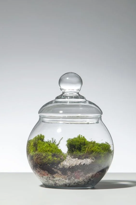 Foto Shop Terrain