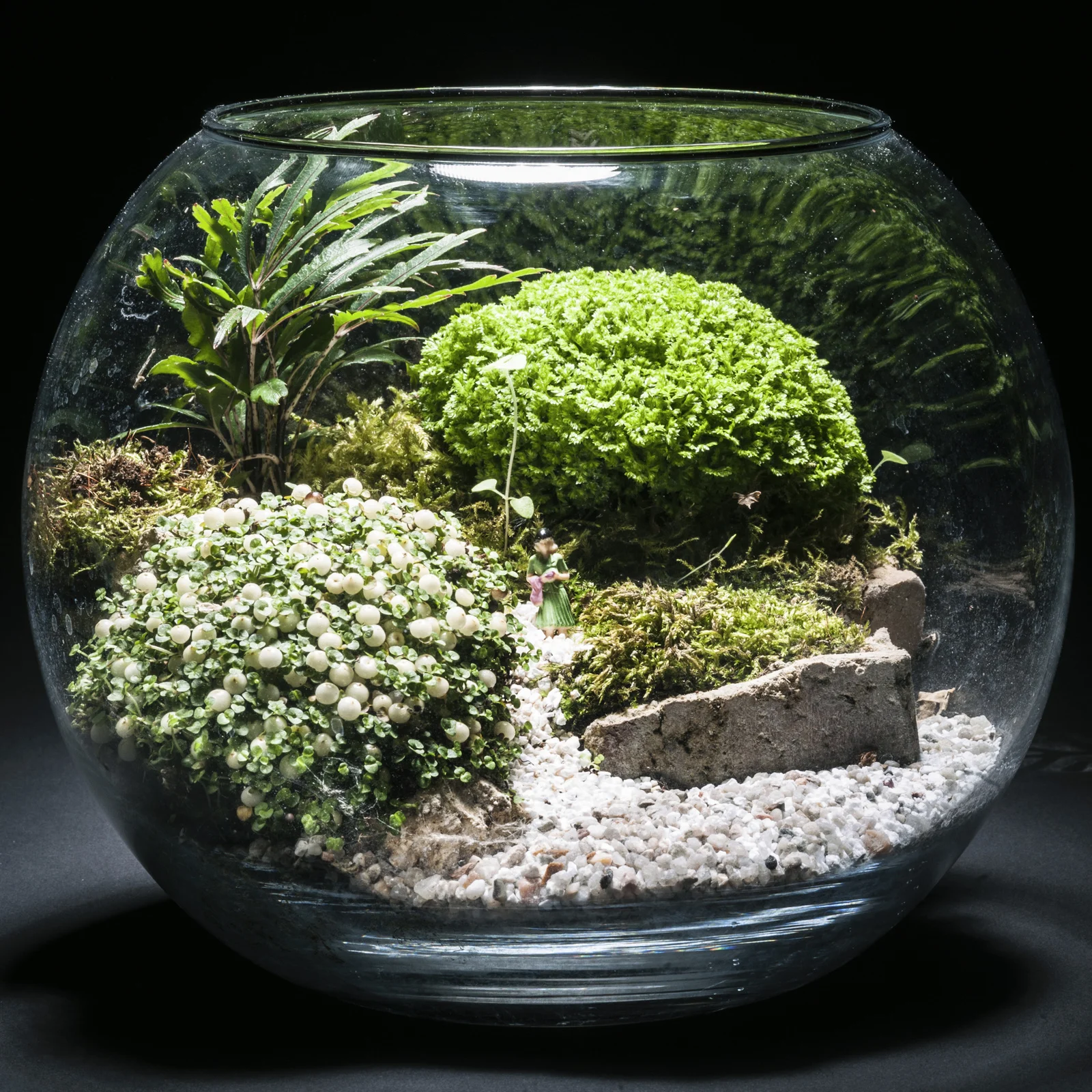Foto Recreation Vegetal