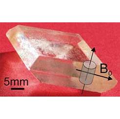 Sample cut from gypsum monocrystal and its orientation with regard to external magnetic field B0.