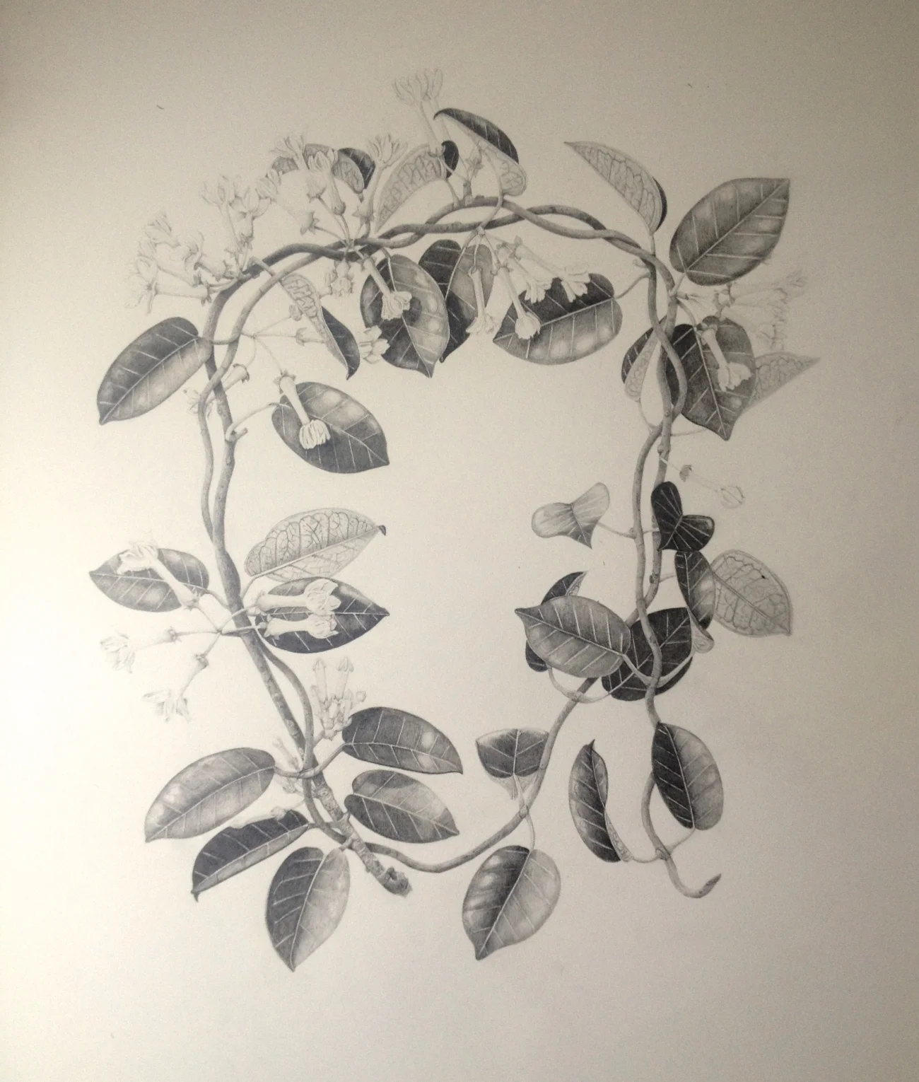 image-11.jpg