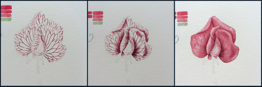 Sweet Pea Step By Step.jpeg