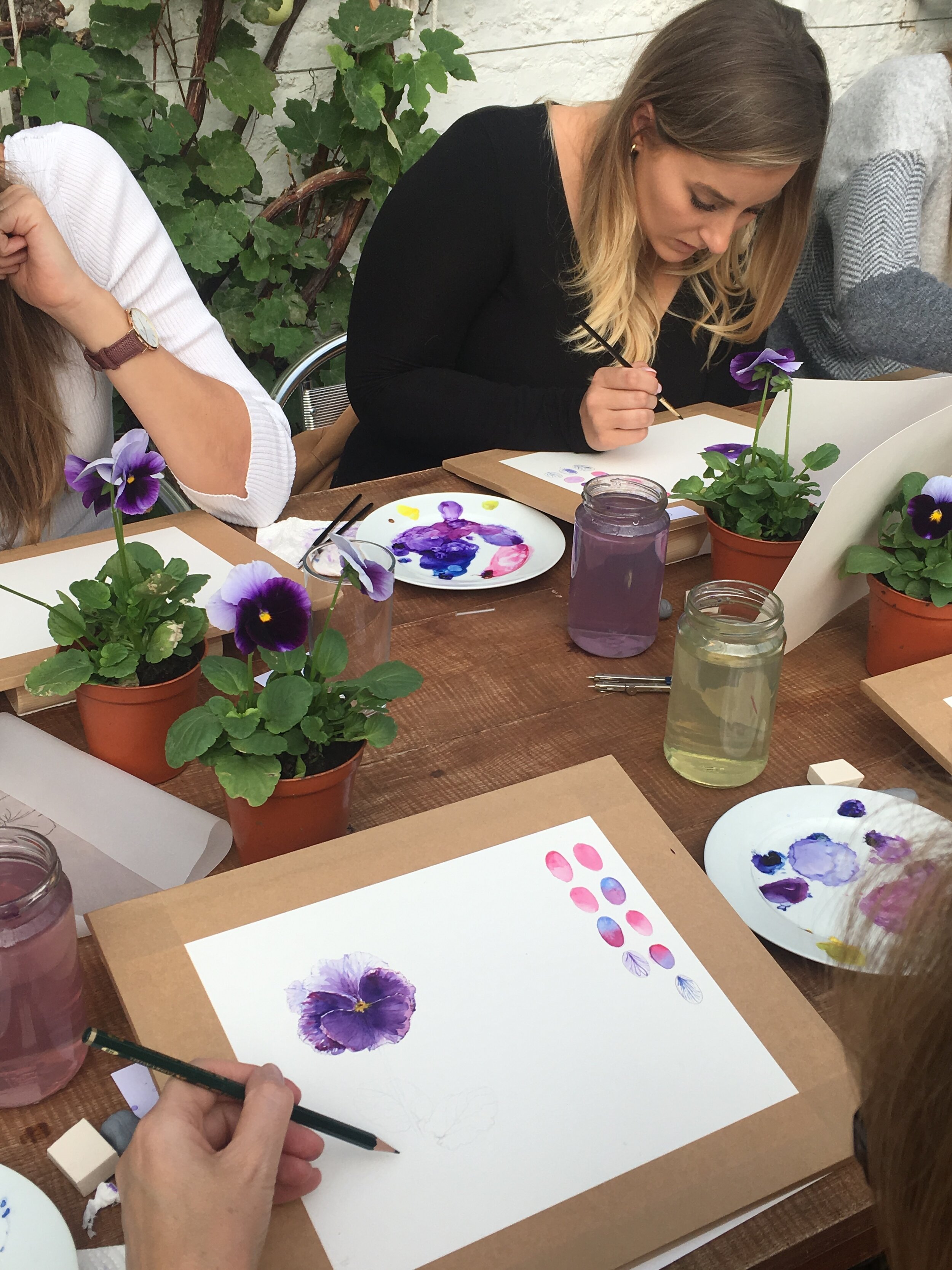 The Fundamentals of Botanical Art — Helen Cousins Botanics