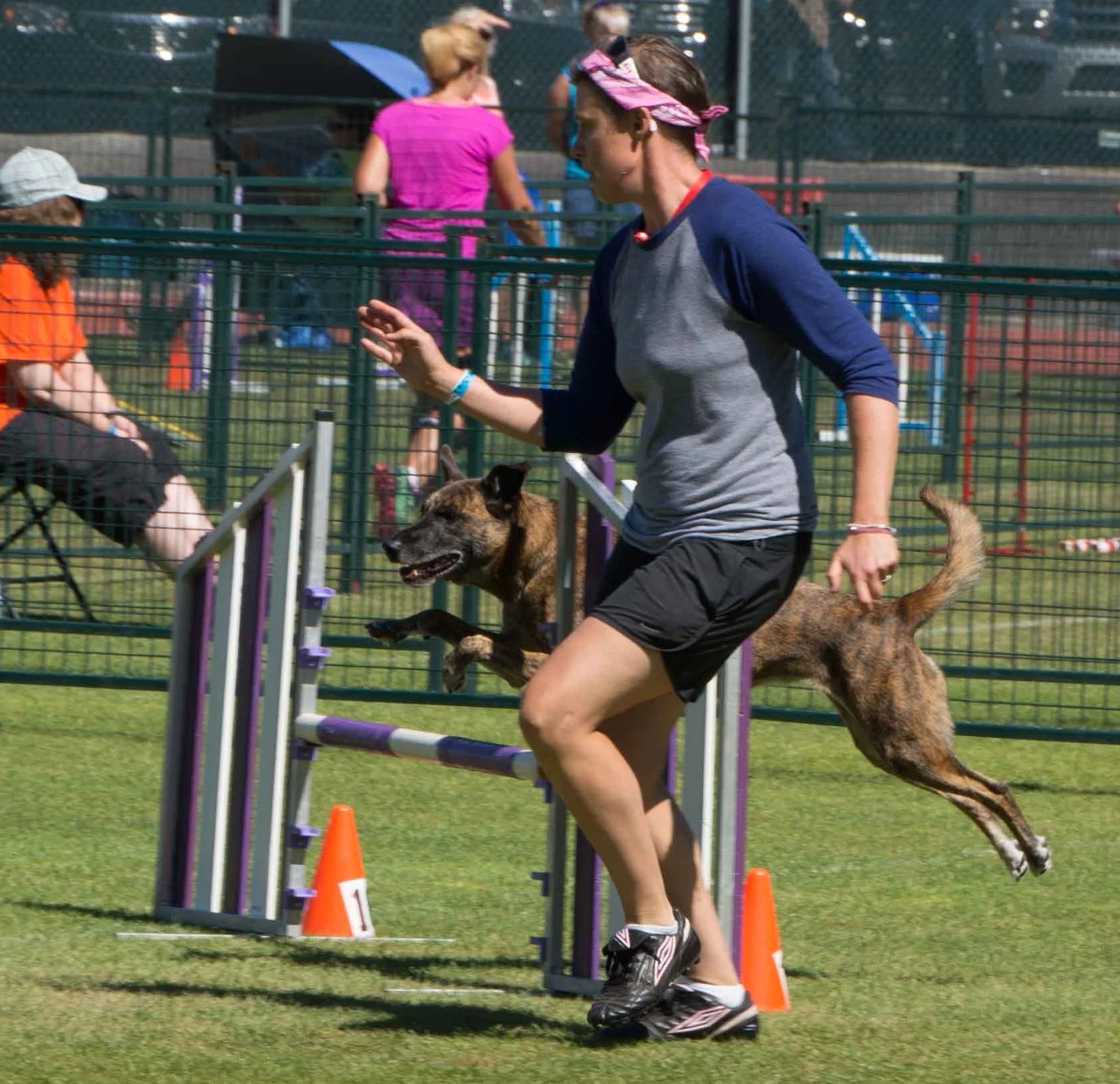 Vegas and I at the 2015 National Agility Championships held in Burnaby, BC.