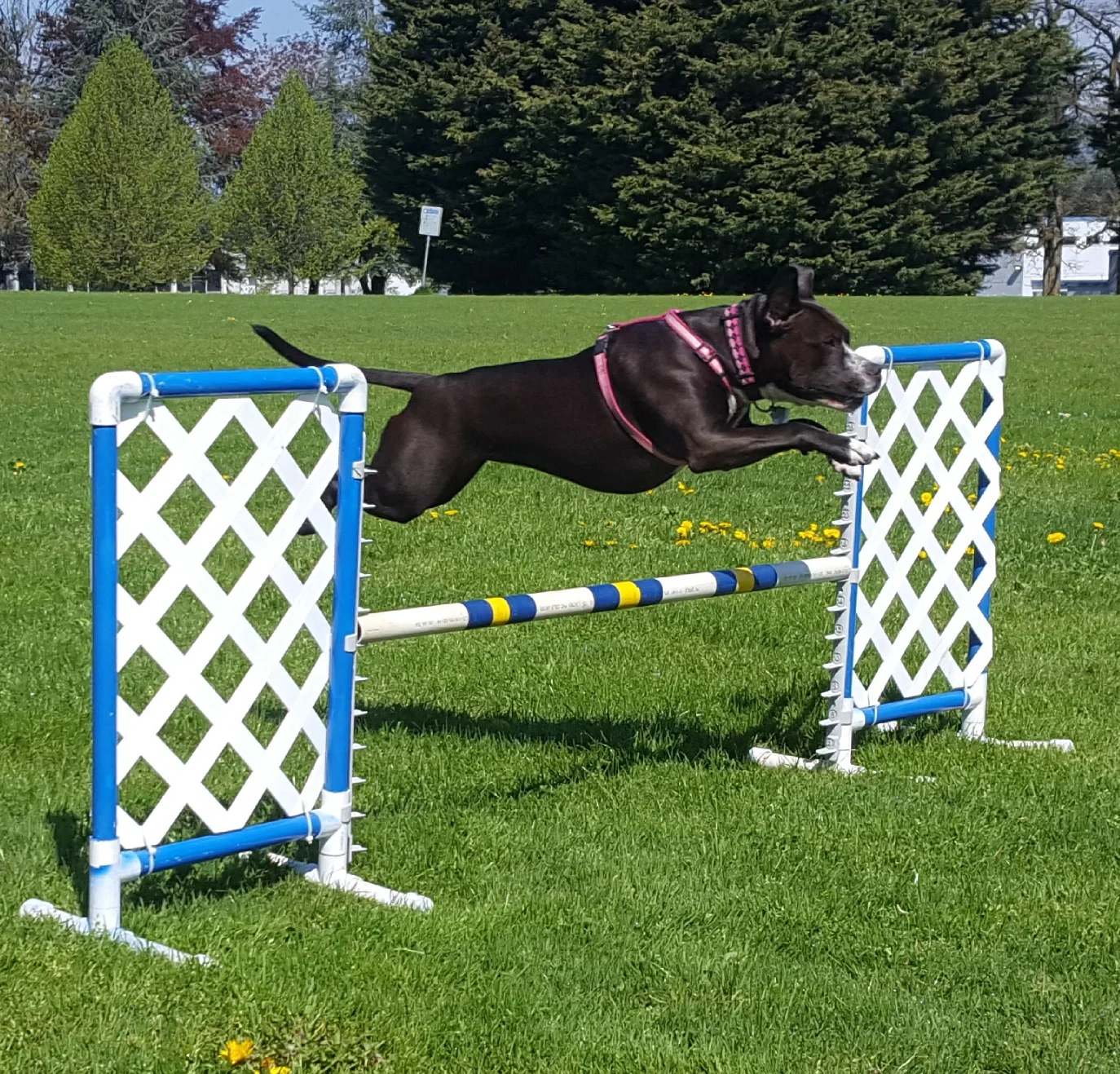 20180501_141251.jpg