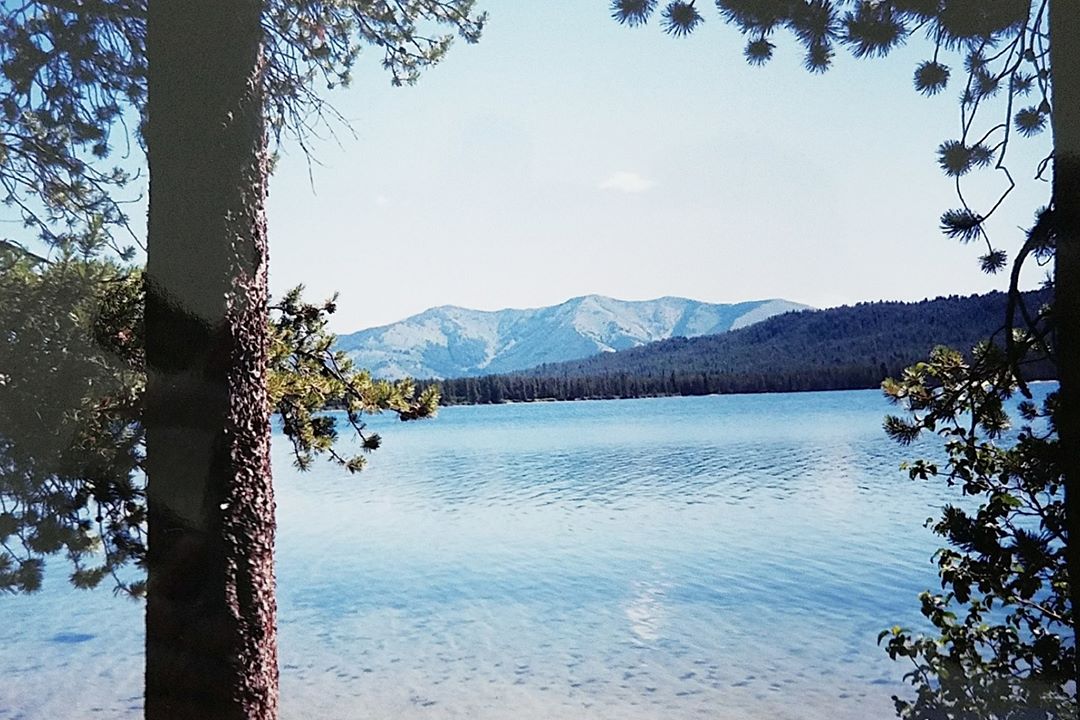 An image I took as a kid before I knew anything about photography. My mom loved this image and hung it on the wall for years. | 1994