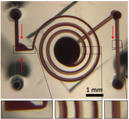 Spiral vortex micromixer and three key components of the design: inlet, spirals, and detection point 