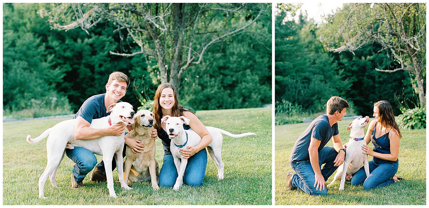 dogs at engagement sessions