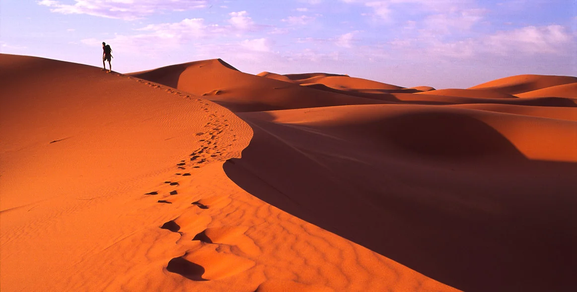 1 Footsteps on the dunes03w.JPG