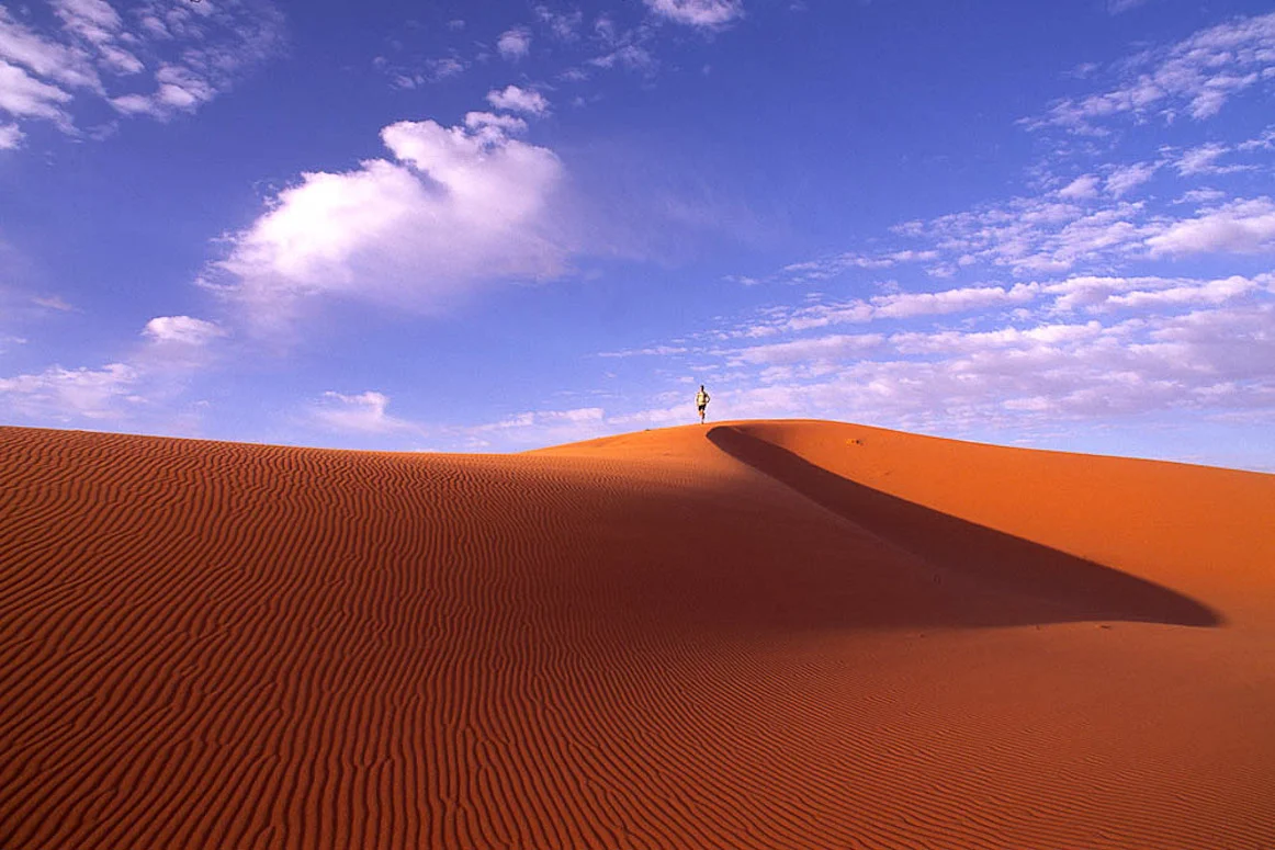 2 Shadow walking04w.JPG