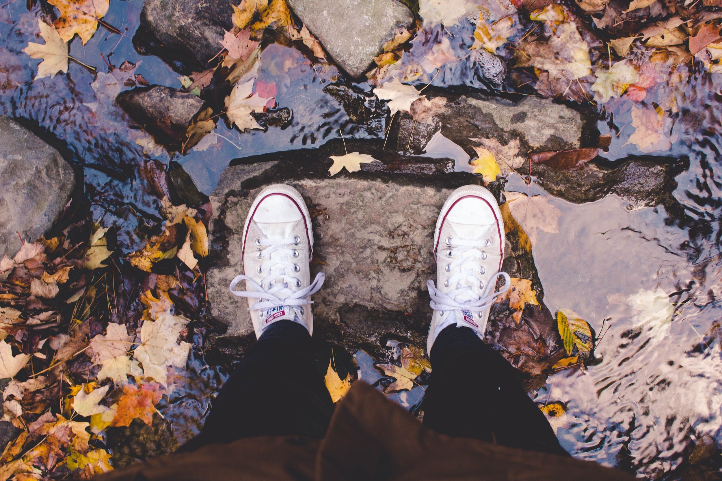 unsplash-image-0S_tjDMjg-g.jpg