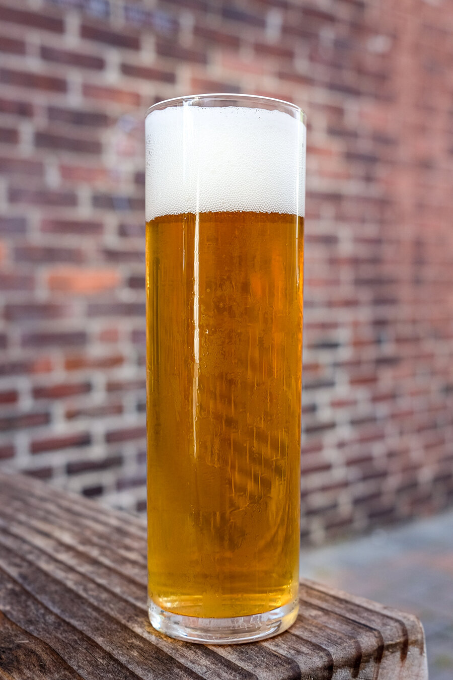 Kolsch Too