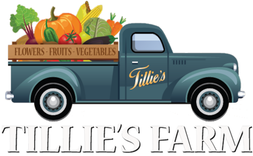 tillies-farm.png
